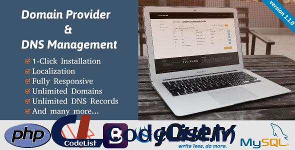 Domain Provider & DNS Management