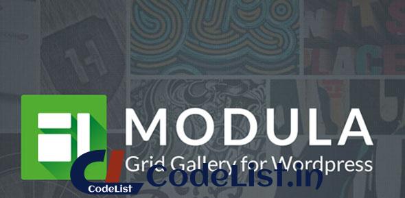 Modula Pro v2.2.3 – Best WordPress Image Gallery