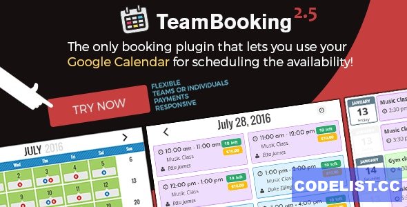 Team Booking v2.6 – WordPress booking system