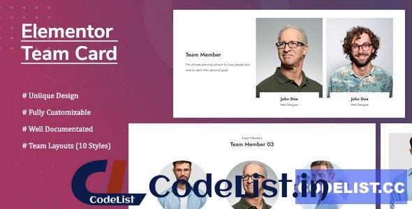 Elementor Team Card v1.0