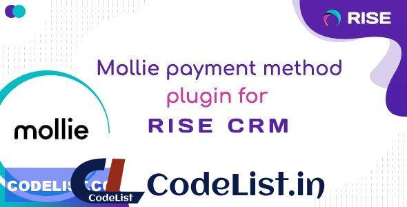 Mollie v1.0 – payment method for RISE CRM – nulled