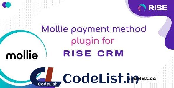 Mollie payment method for RISE CRM v1.0