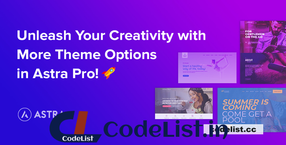 Astra Pro Addon v4.8.2 – Perfect Theme For Any Website