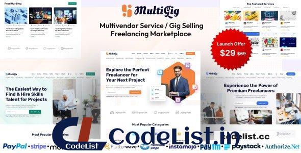 MultiGig v1.0 – Service / Gig Selling Freelancing Marketplace (Subscription Based) – nulled