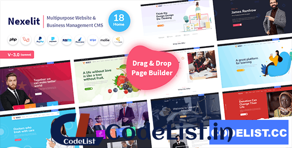 Nexelit v3.0.1 – Multipurpose Website & Business Management System CMS – nulled